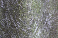 Marton Grove fibreglass roof work